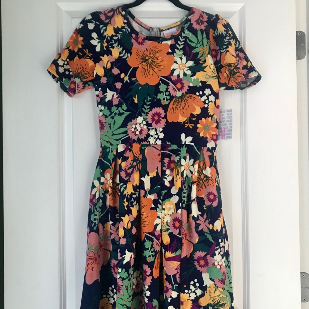 Floral Spring LulaRoe Amelia Dress